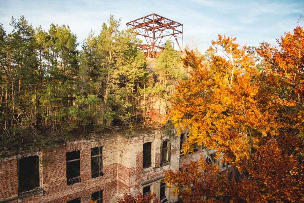 Herbstfärbung der Bäume auf einem zerfallenem Haus