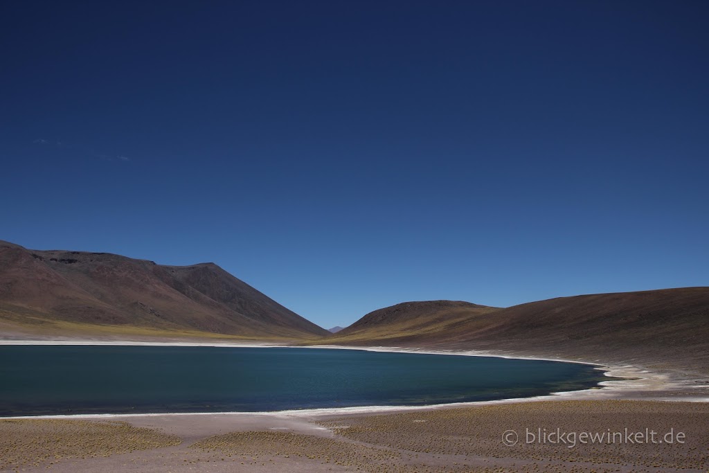Lagune Miscanti de Atacama
