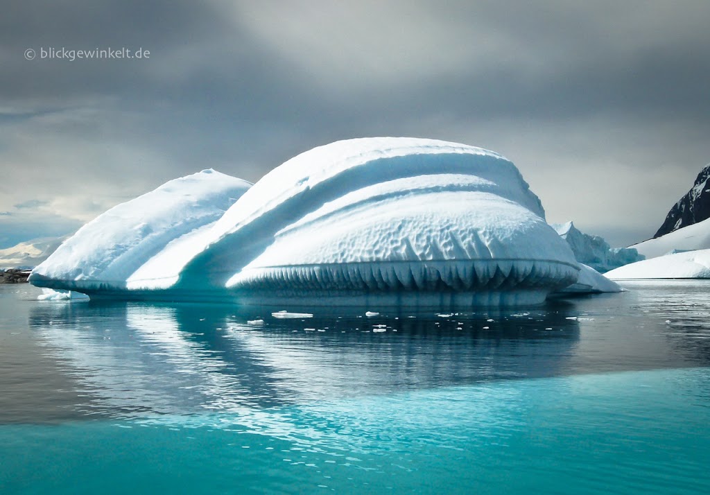 Antarktis, Eisberg, großzahniger Eisfrosch