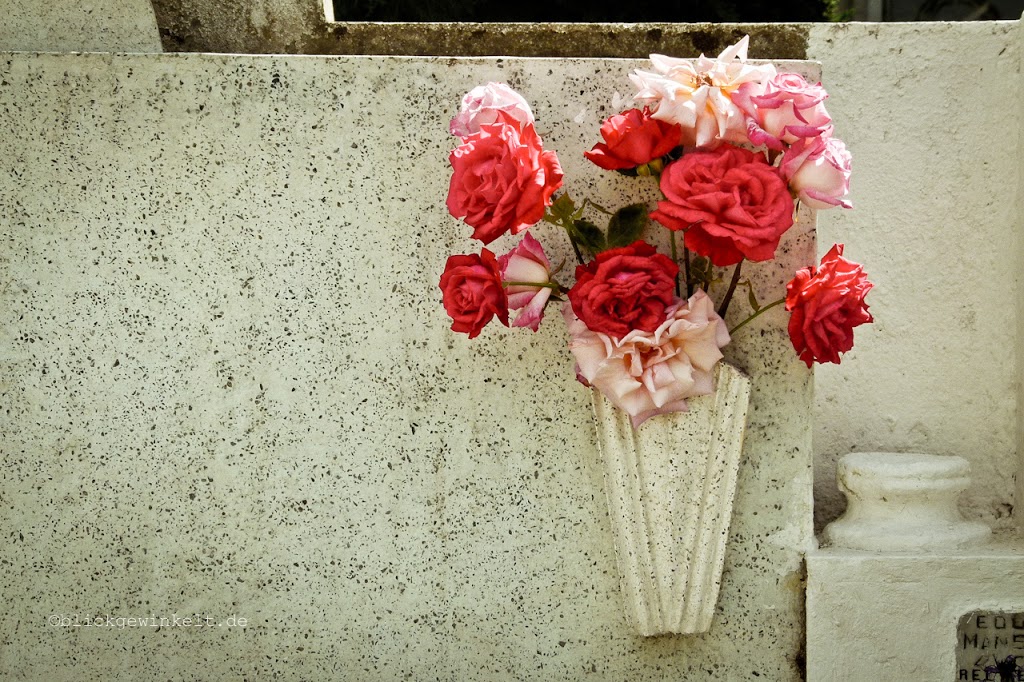 Rosa Blumen auf weißem Grabstein
