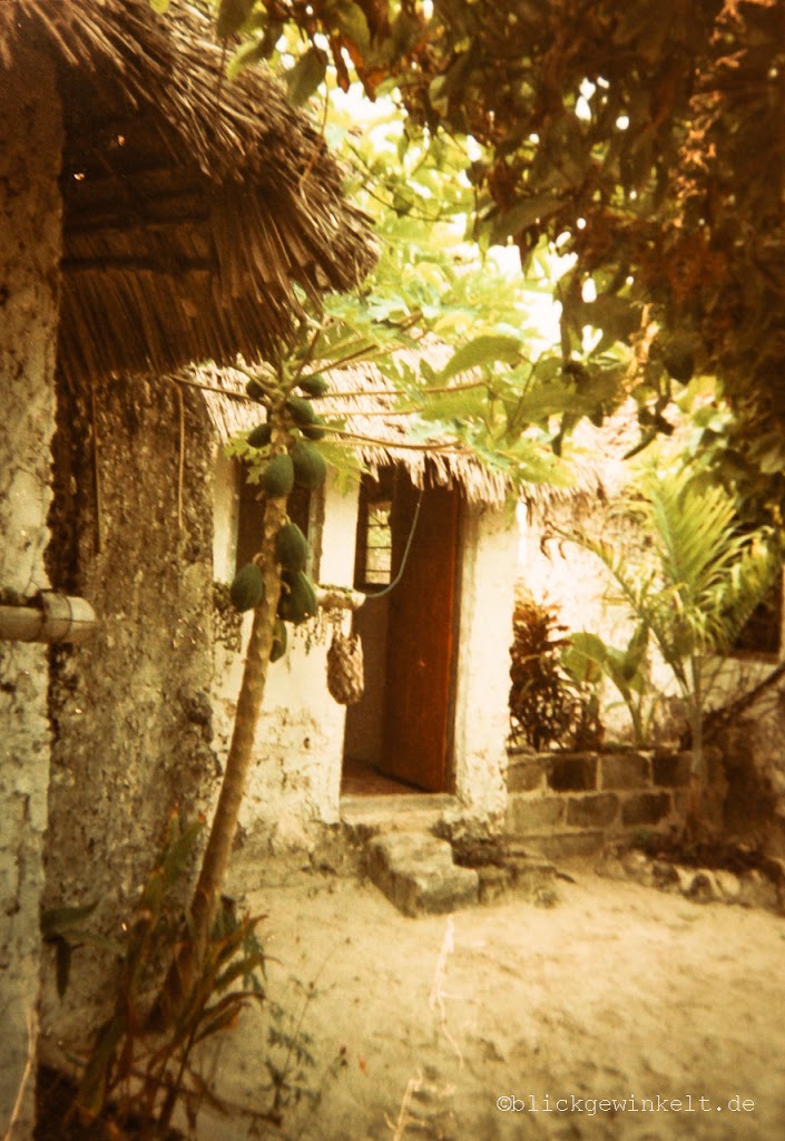 kleine Hütte unter Palmen