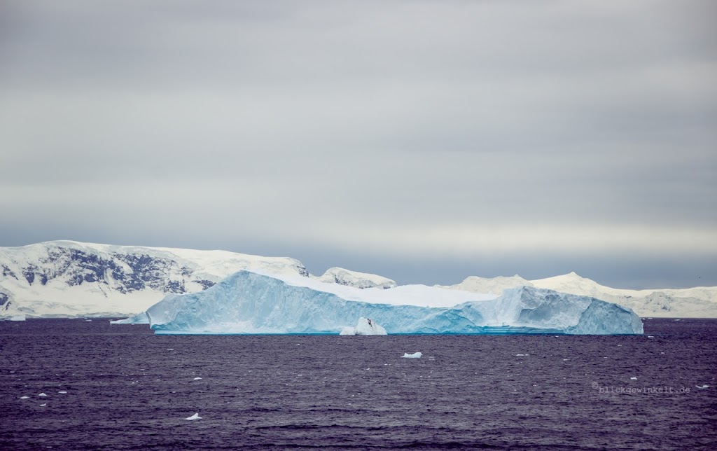 Blaues Eis in der Antarktis