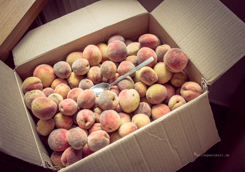geerntete Pfirsiche