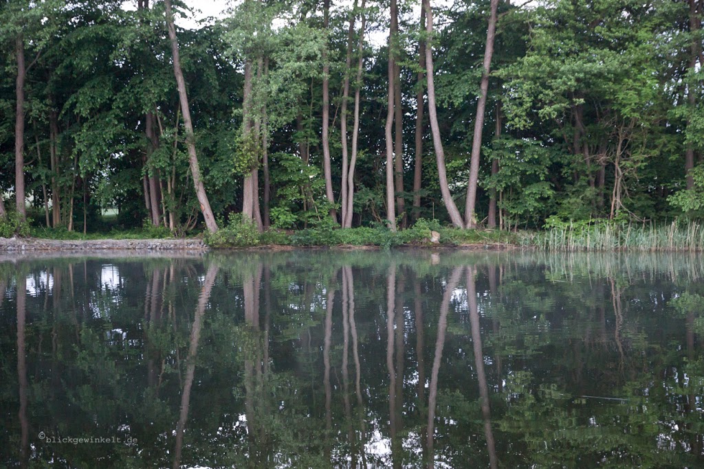 Wilde Natur am Fluss: Floßurlaub in Brandenburg