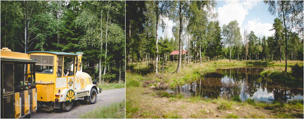 Elchpark und kleines Bähnle: Auf Elchsafari in Schweden