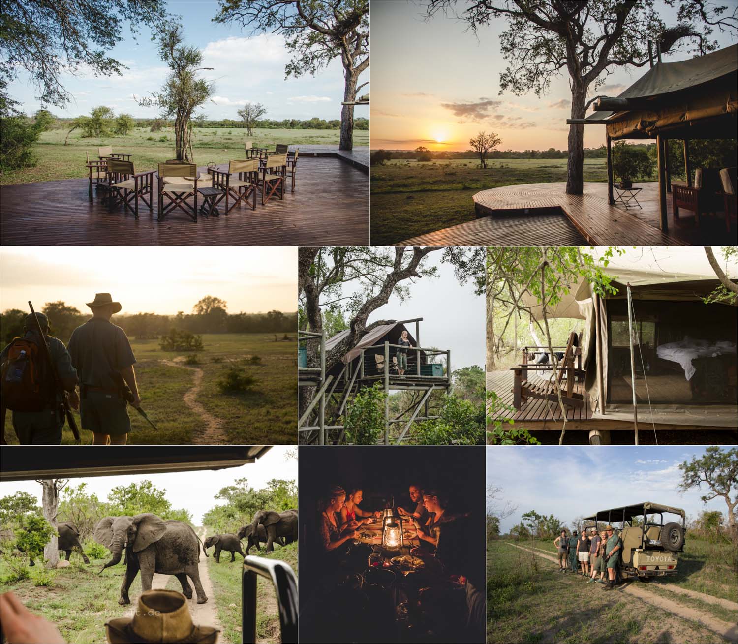 Rhino Post Walking Safari, Collage mit Bildern