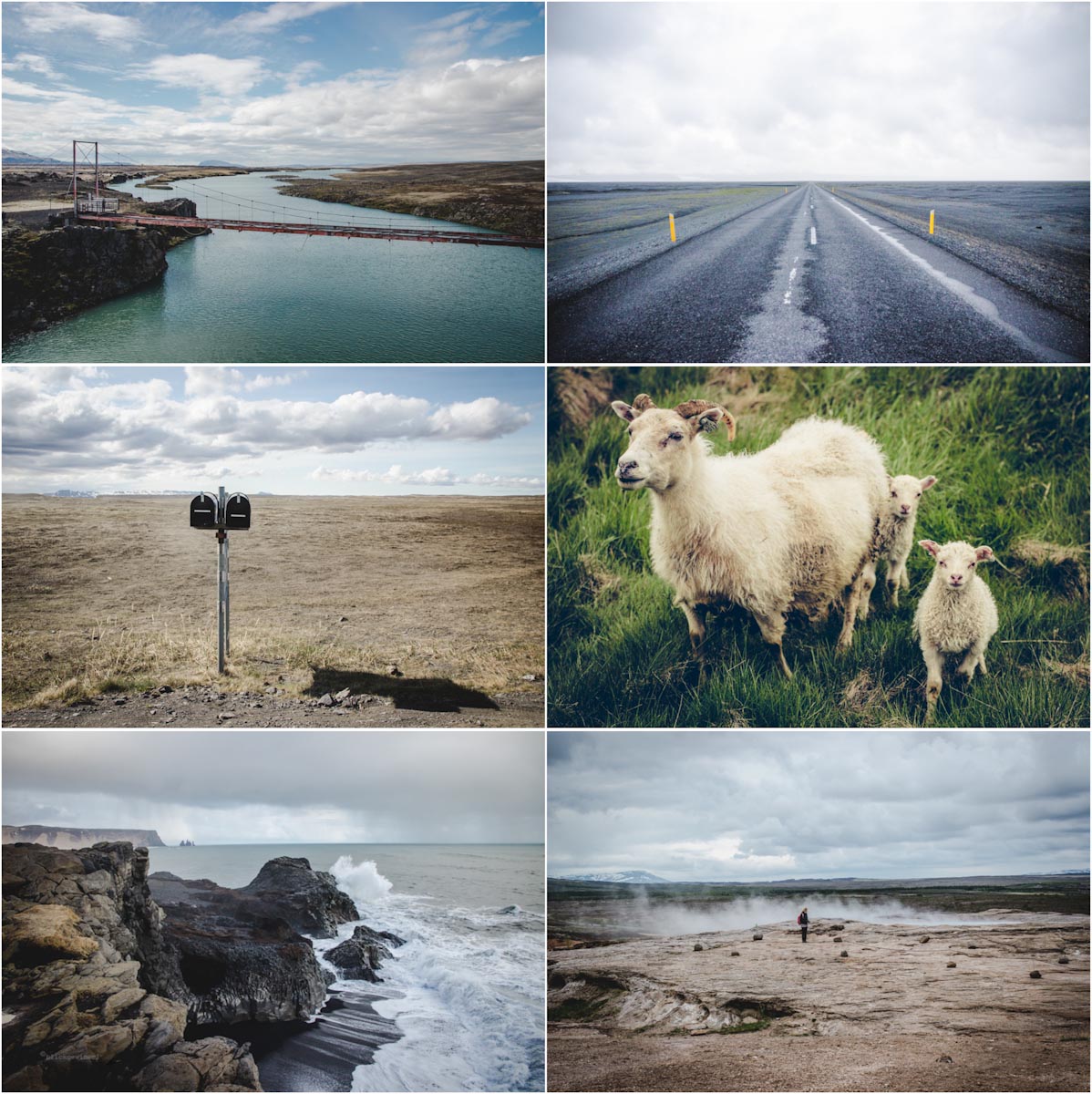 Island Landschaft: Schafe, Küste, Straße, Inland