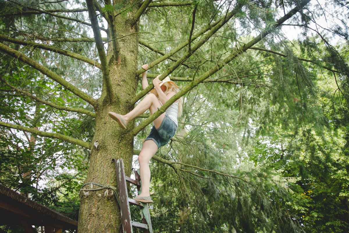 Frauen, die in Bäumen klettern