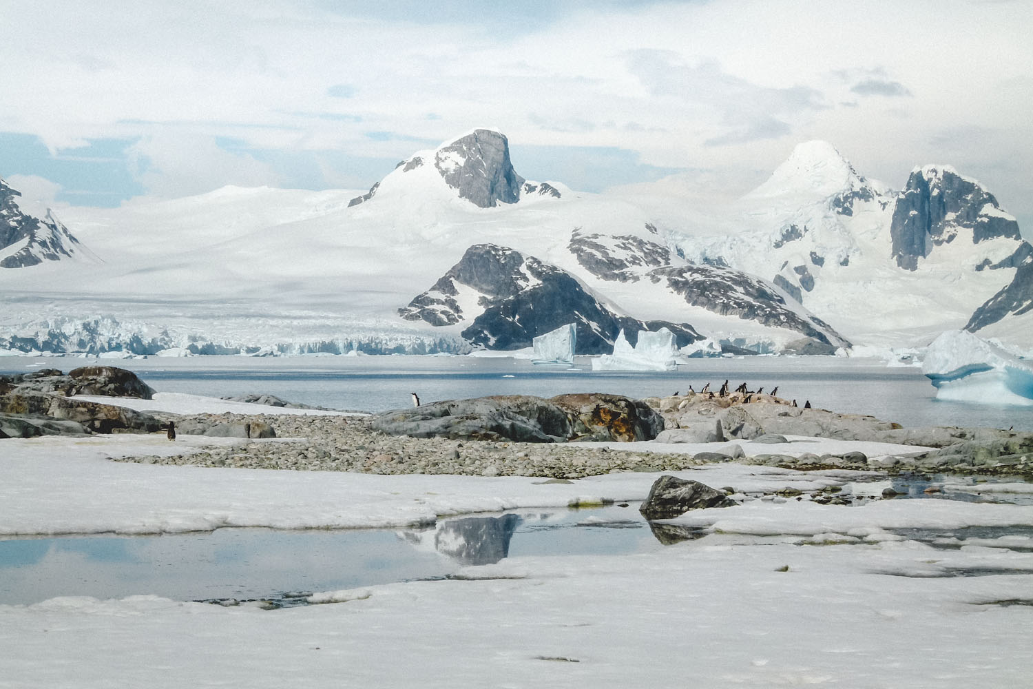 Antarctica, Paradise Bay. ©blickgewinkelt.de
