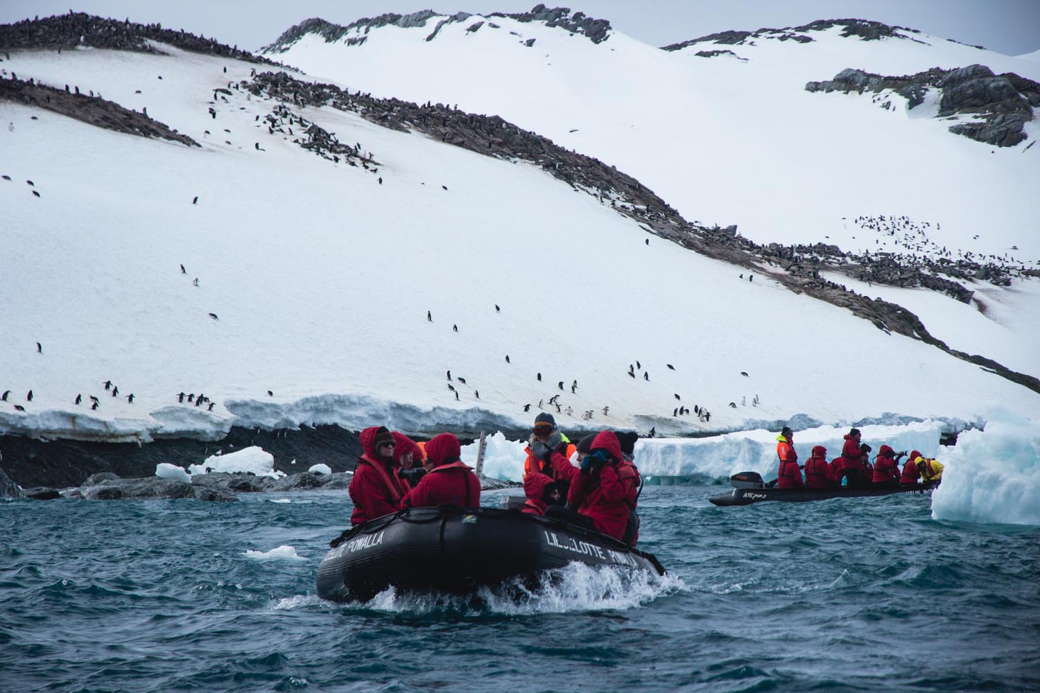 Zodiac Boote Antarktis