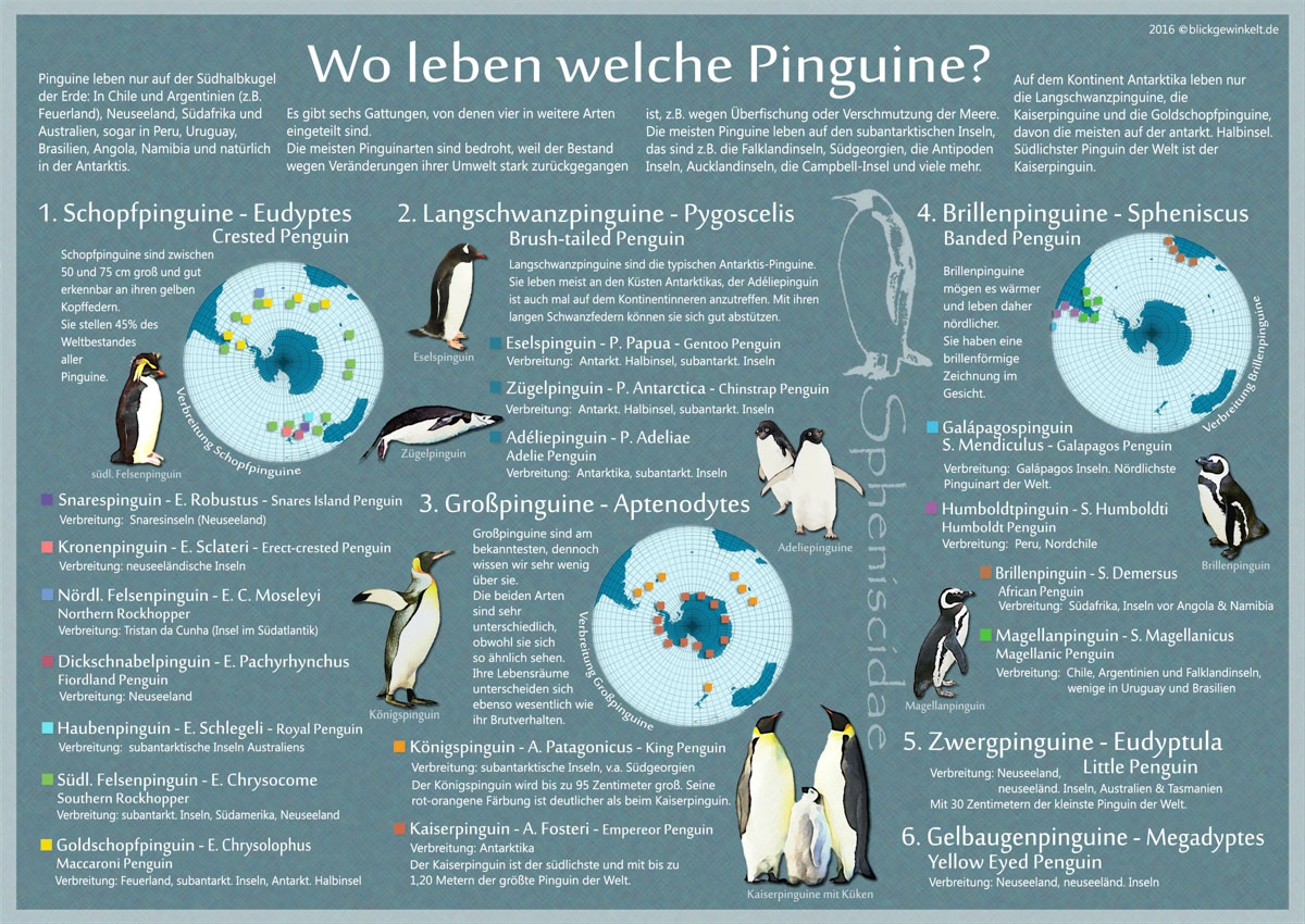 Karte mit allen Pinguinarten und Verbreitungsgebieten