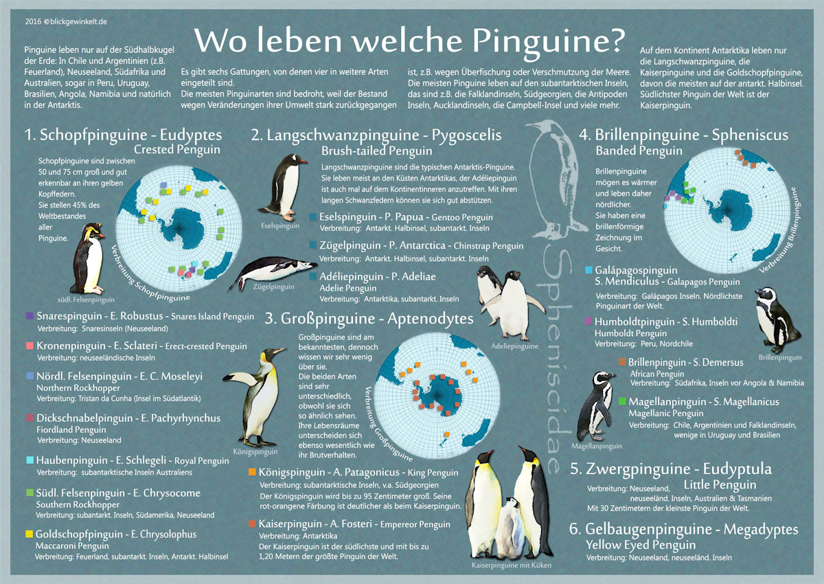 Pinguin-Karte: Karte über Pinguinarten und dem Lebensraum von Pinguinen in der Welt