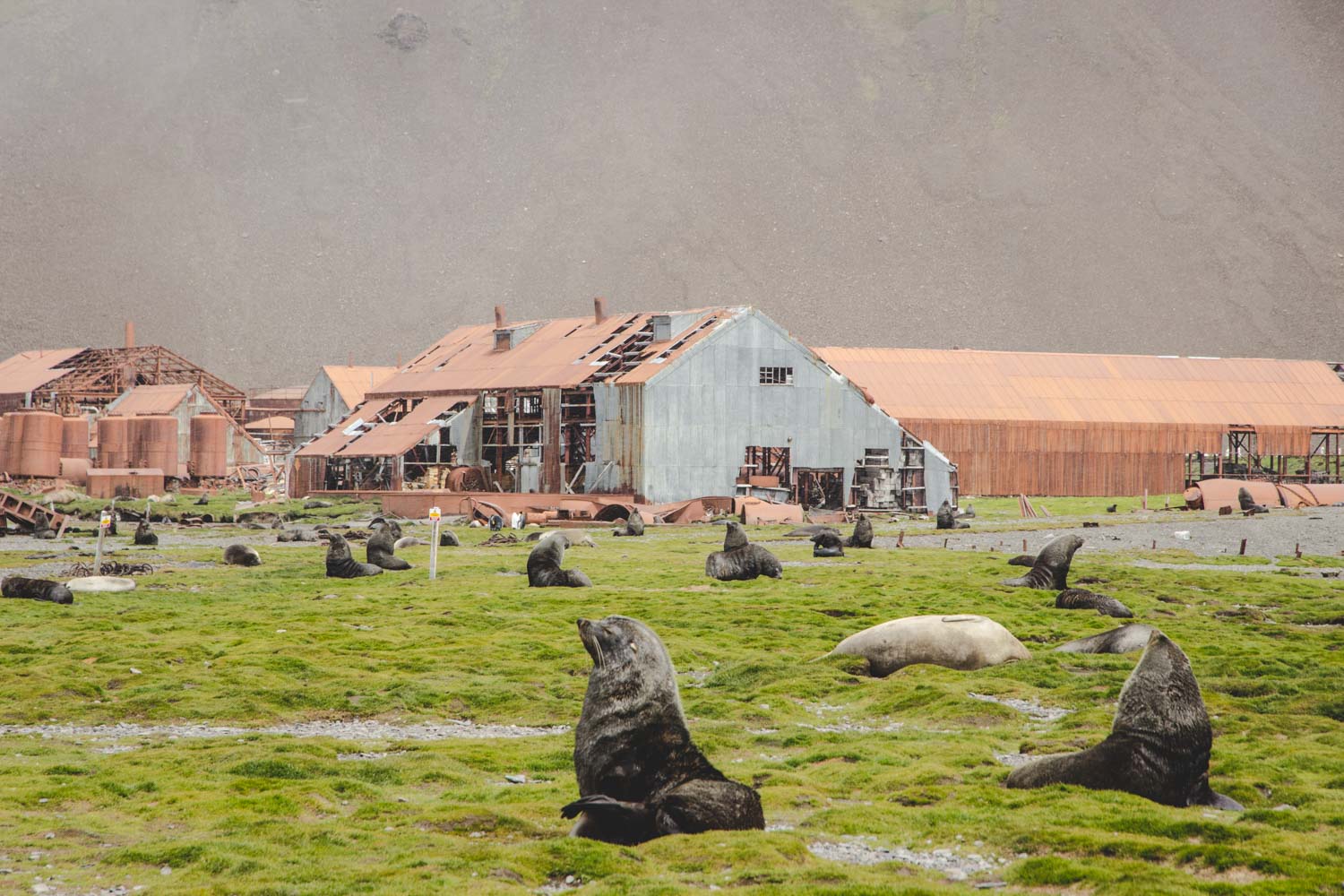 Verlassene Walfangstation Stromness in Südgeorgien