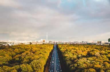 Berliner Tiergarten und Brandenburger Tor