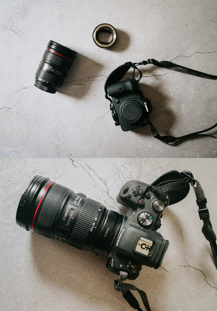 Canon EOS-R6 System