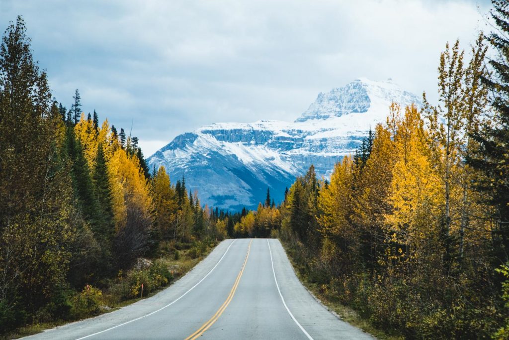 Auf dem ICefields Parkway in Kanada: Herbstliche Bäume zwischen riesigen Bergen