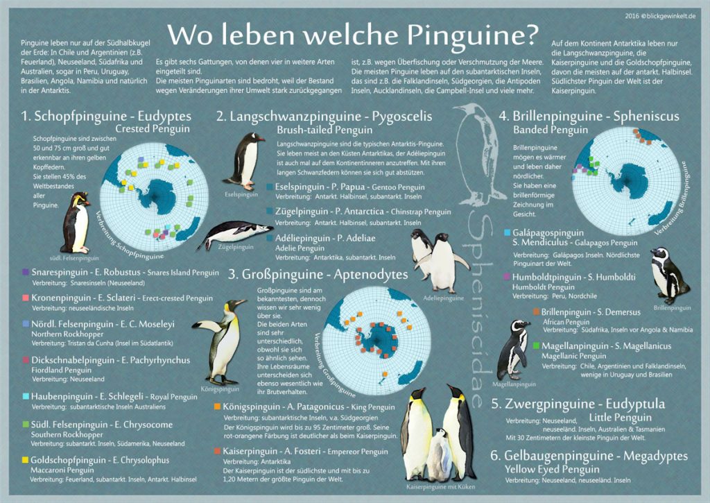 Pinguin-Karte: Wo leben Pinguine?