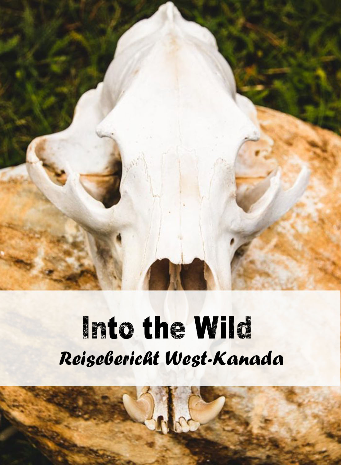 Reisebericht Westkanada: Into the wild