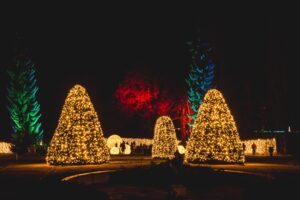 Christmas Garden Berlin: Tausende Lichtpunkte und geschmückte Bäume