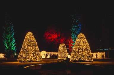 Christmas Garden Berlin: Tausende Lichtpunkte und geschmückte Bäume