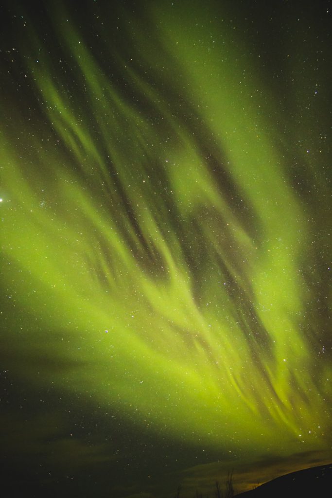 Polarlichter in Island mit Sternenhimmel