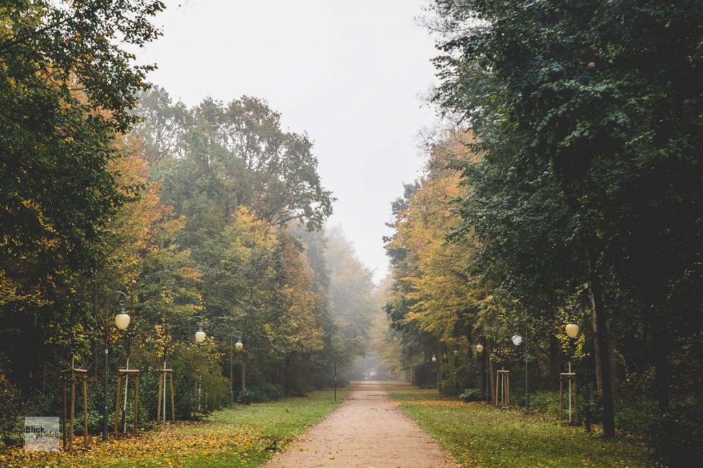 Vernebelter Tiergarten im Herbst.
