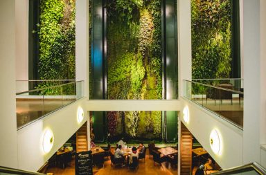Caferestaurant mit begrünter Wand