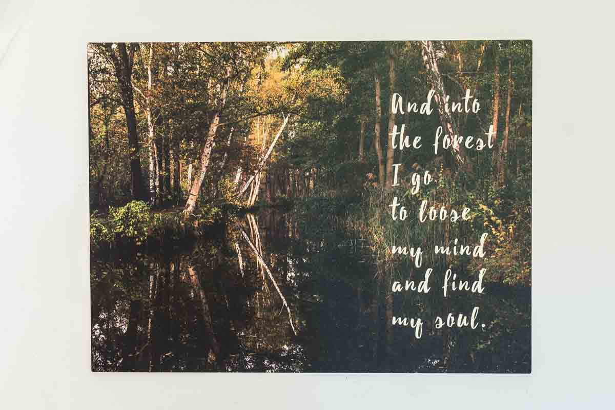 Spreewald-Holzbild