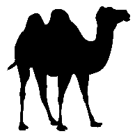 Kamele streicheln