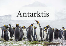 Antarktis-Reiseberichte